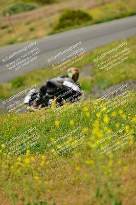 media/Apr-13-2024-Classic Track Day (Sat) [[9dd147332a]]/Group 1/Session 3 (Turns 5 and 6)/